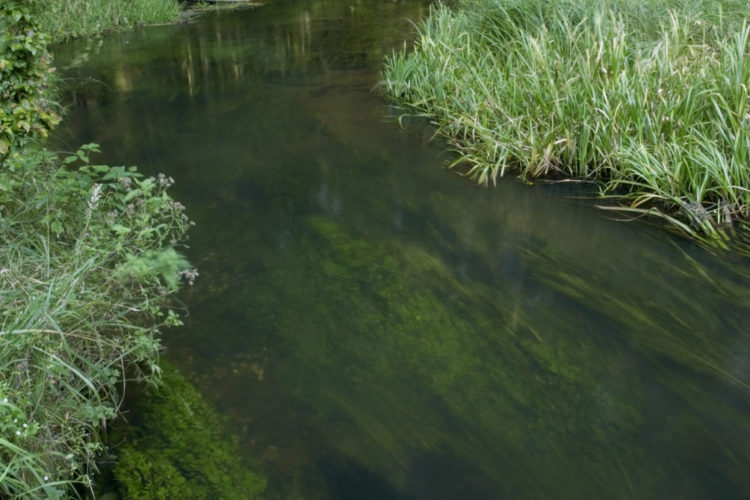 Wasserrahmenrichtlinie