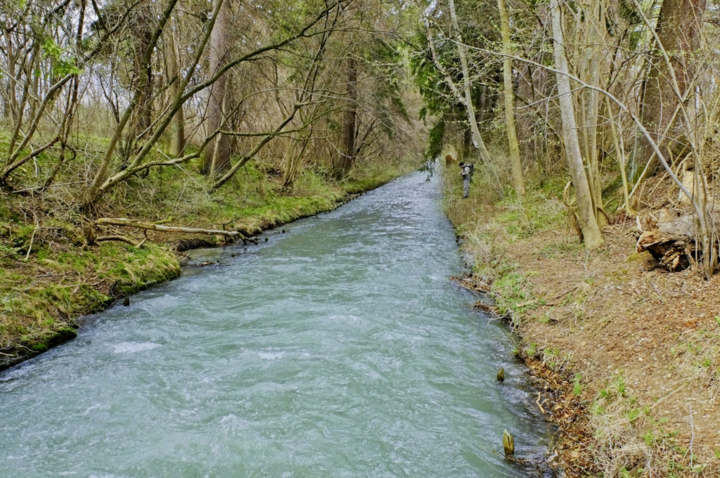 Ein natürlicher oder zumindest naturnaher Fluss ist nicht gerade! Flüsse benötigen ihre schlängelnde Eigendynamik, die notwendige ökologische Nischen schafft.