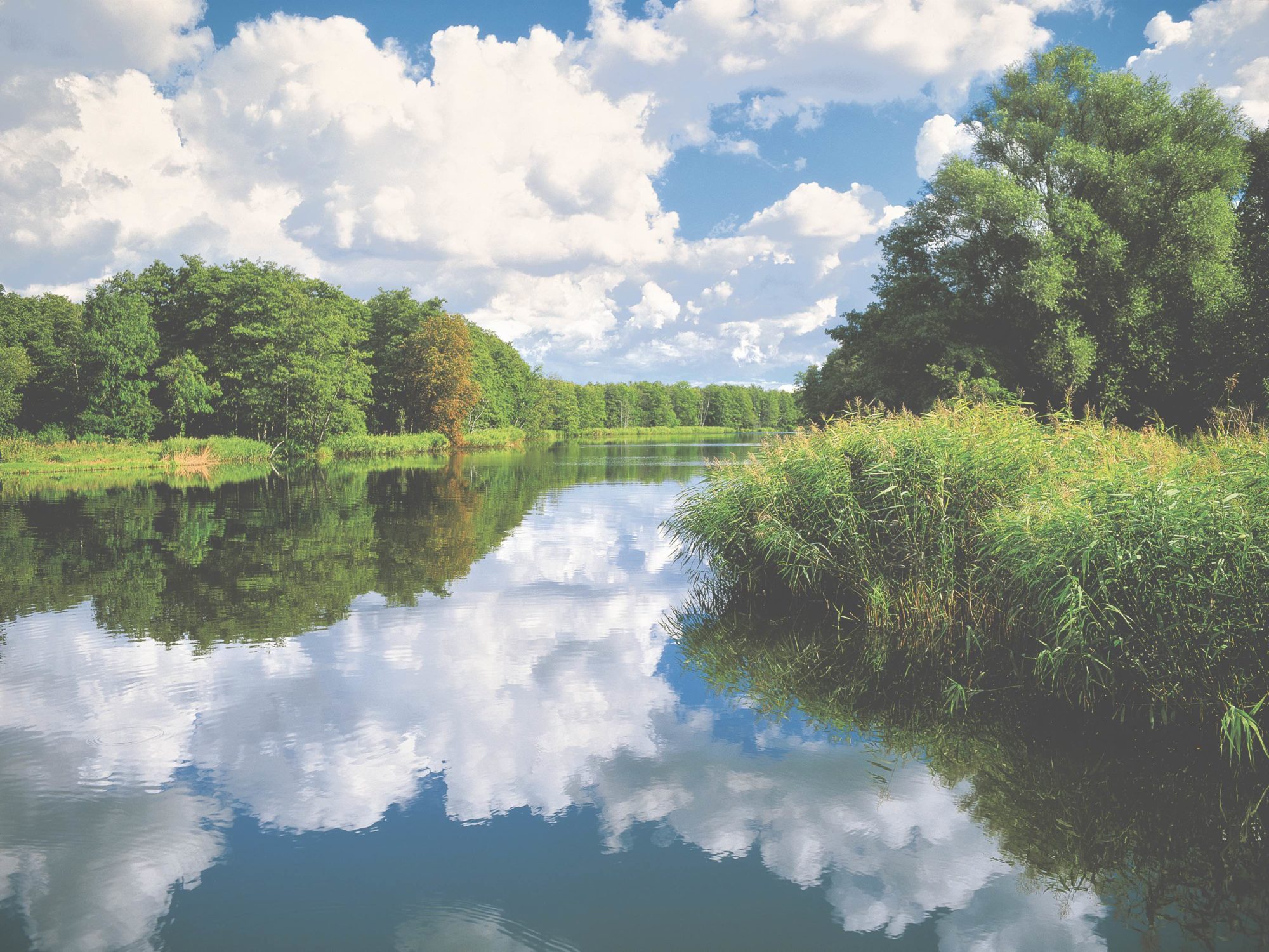 Peene in Mecklenburg-Vorpommern