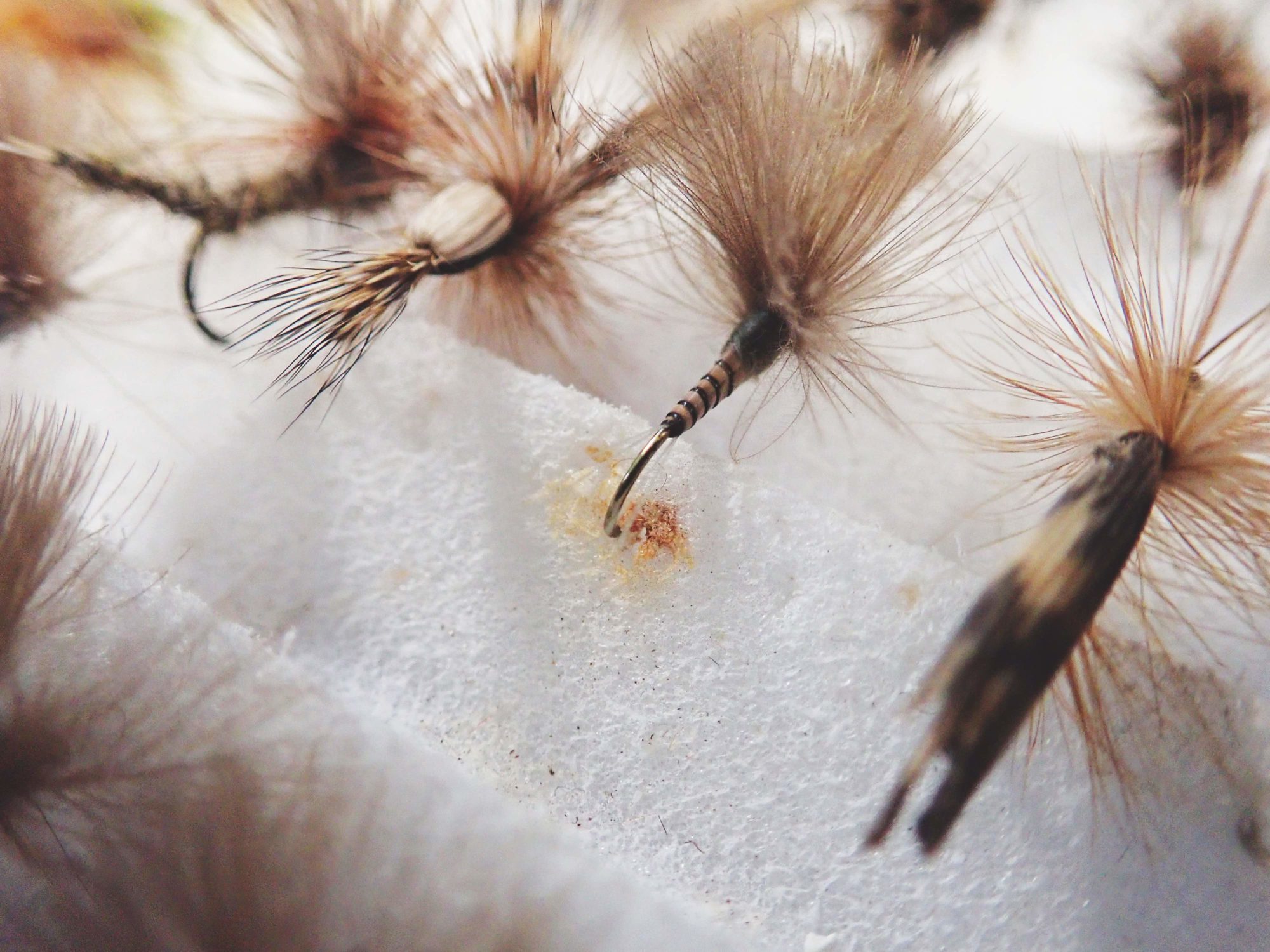 Rost Schaumstoff Haken