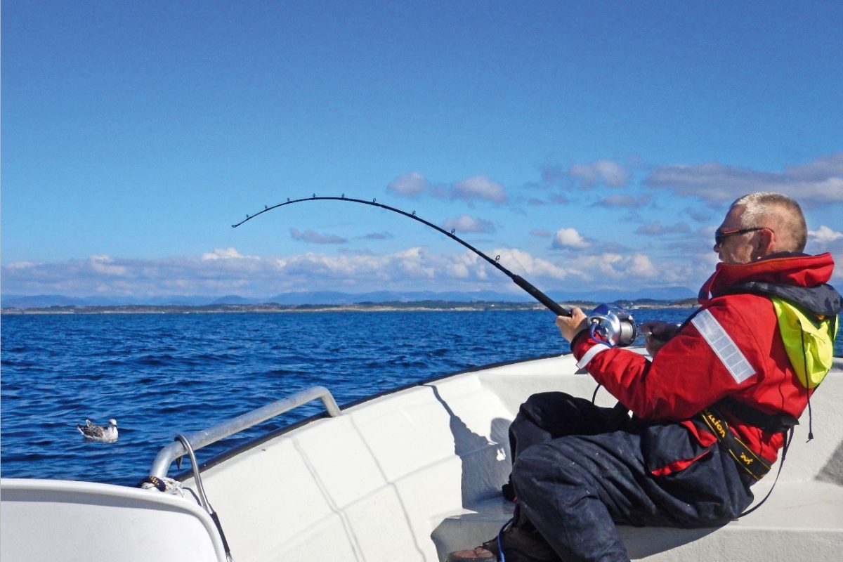 elektrische Angelrolle im Drill