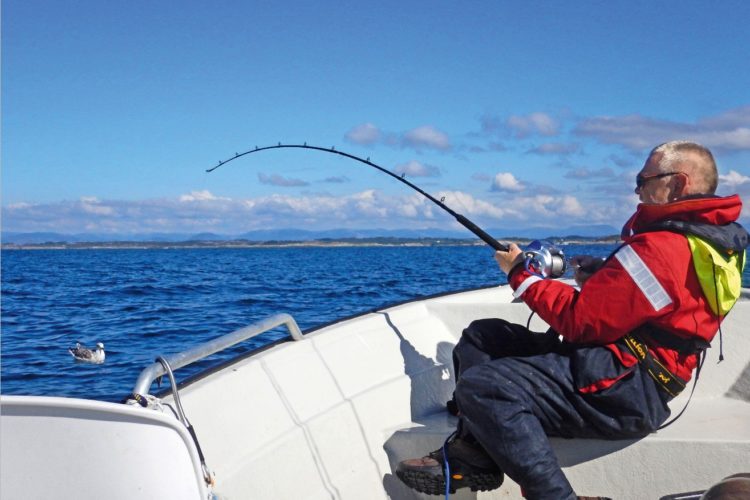 elektrische Angelrolle im Drill