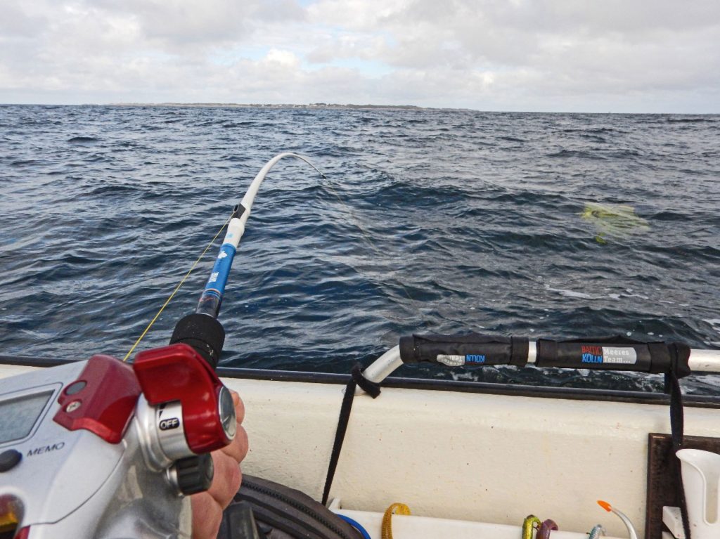 Rute für elektrische Angelrollen