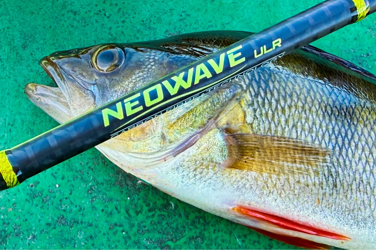 Sportex Neowave ULR mit Barsch