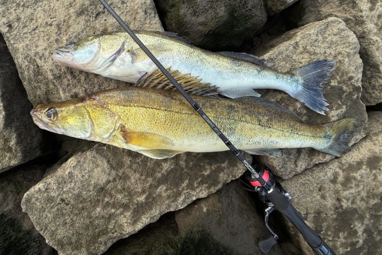 UL-Rute auf zwei Zandern