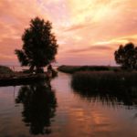 Angeln auf Usedom Zempin