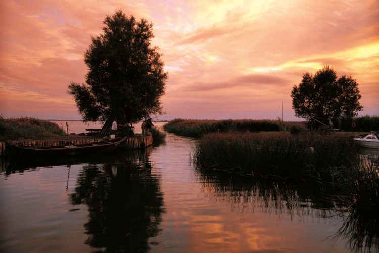 Angeln auf Usedom Zempin