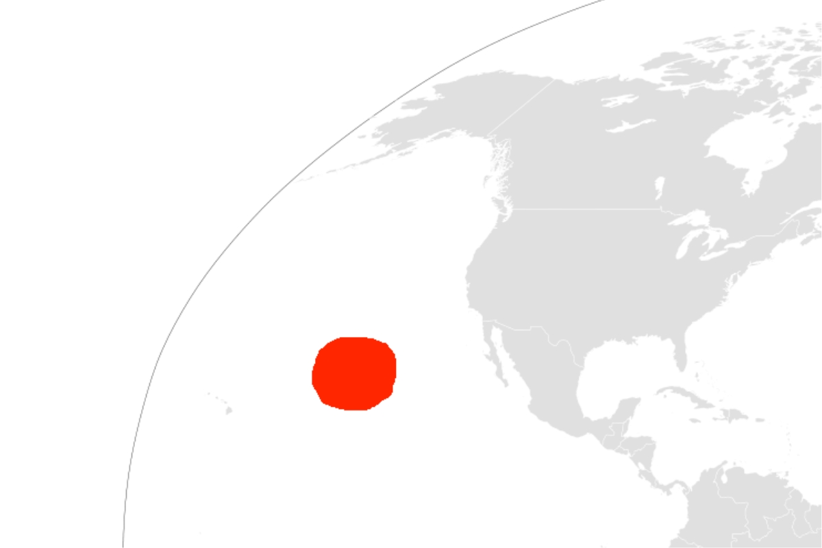 Karte White Shark Café