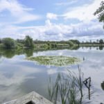 Der Forellensee Barderup von der Nordwestseite: Hier ist das Wasser flacher mit Seerosenfeldern und erwärmt sich zuerst.