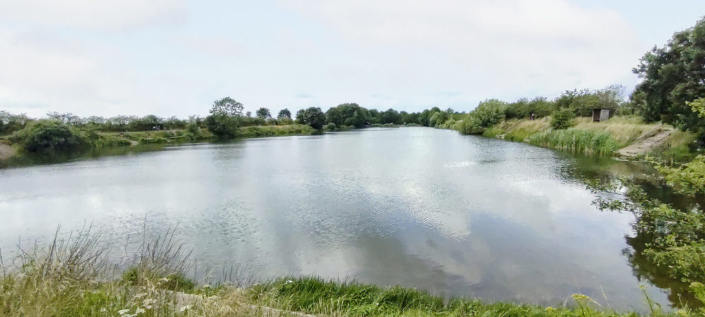 Das südöstliche Ende des Sees ist tiefer. Hier gibt es Quellen. Der Busch hinten rechts markiert den Übergang vom Flachen ins Tiefe.