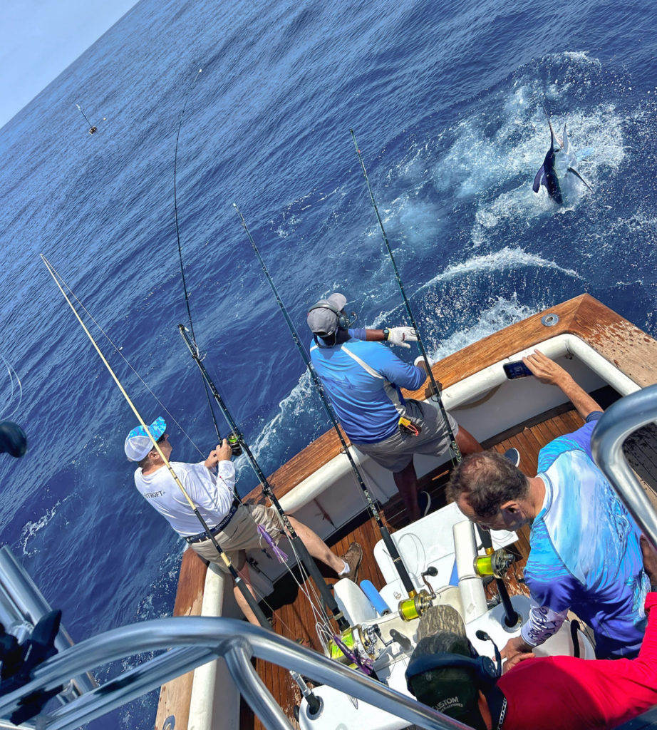 Ein Weißer Marlin an der Spinnrute bedeutet auf jeden Fall eines: Drillfreude pur!