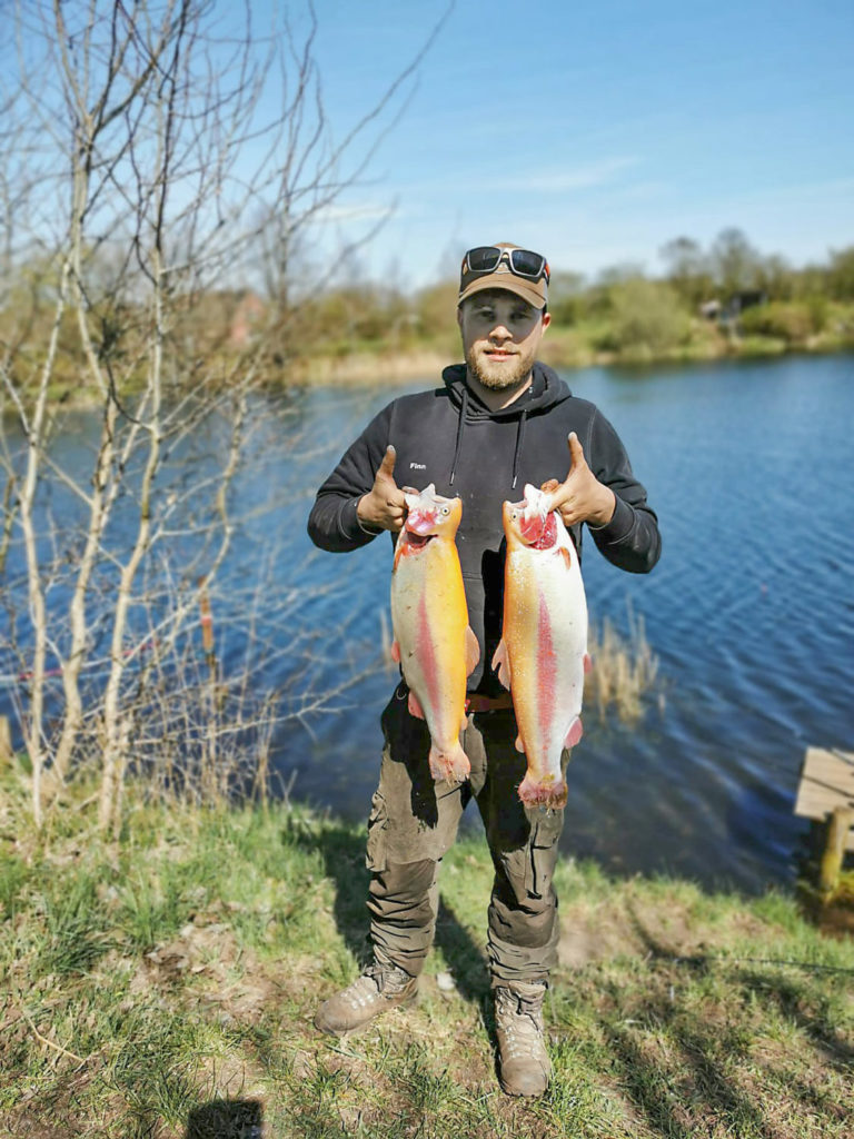Goldforellen wie diese gehören zum regulären Bestand an Salmoniden.