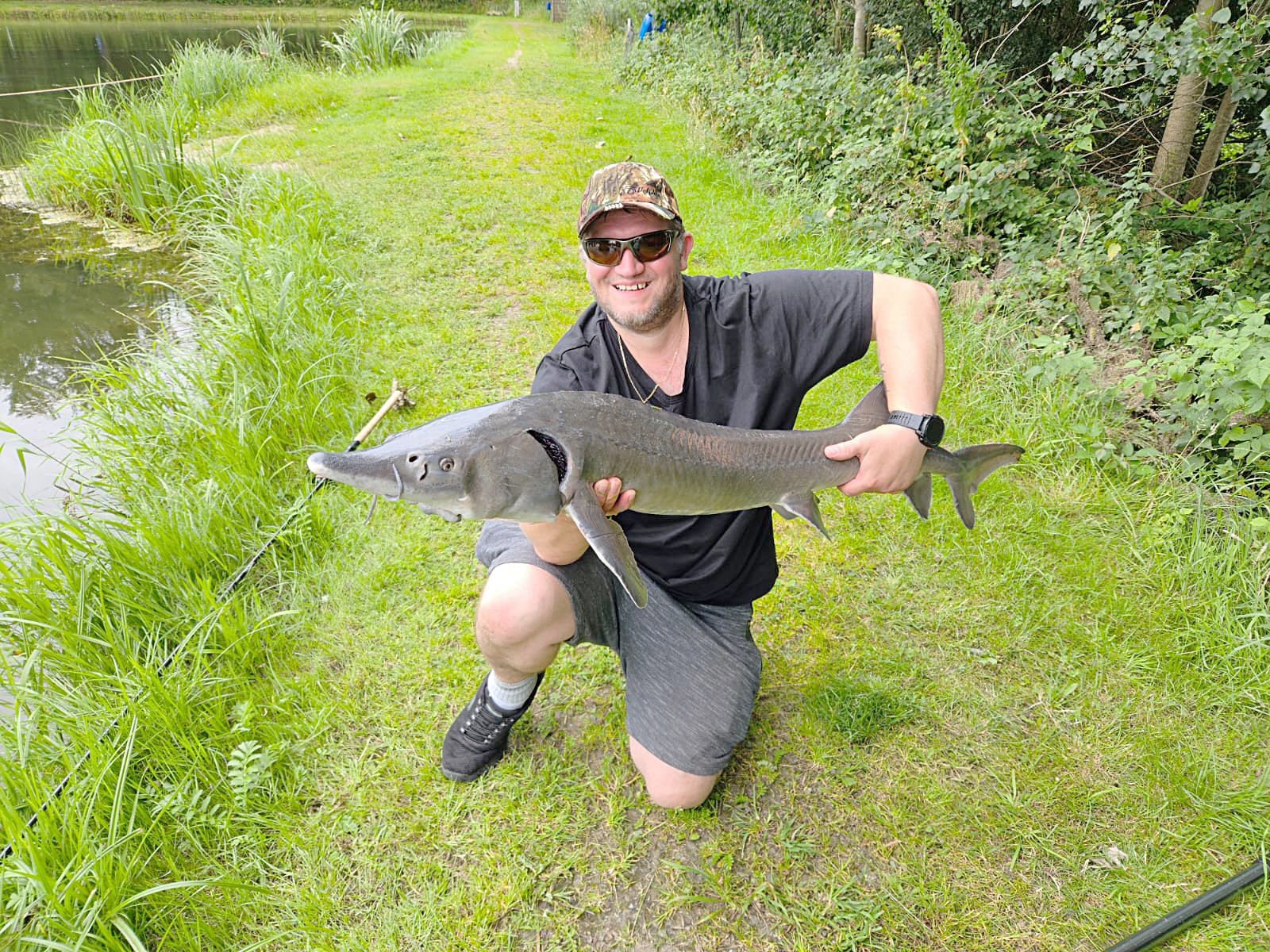 Dieser Stör konnte von einem Hausgast im Forellensee Wester Ohrstedt gefangen werden.