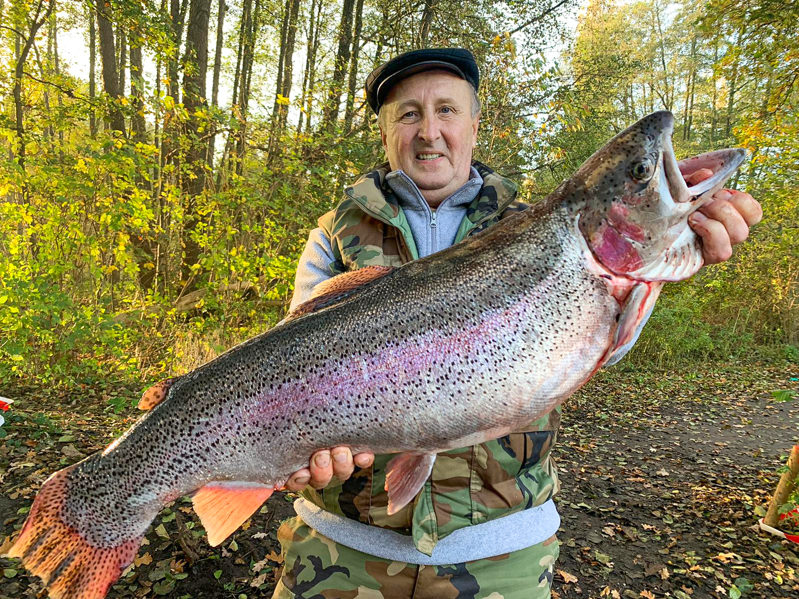 große Forelle im Angelparadies Burdorf