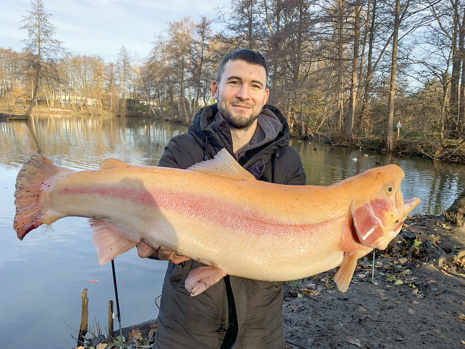 Goldforelle Burgdorf