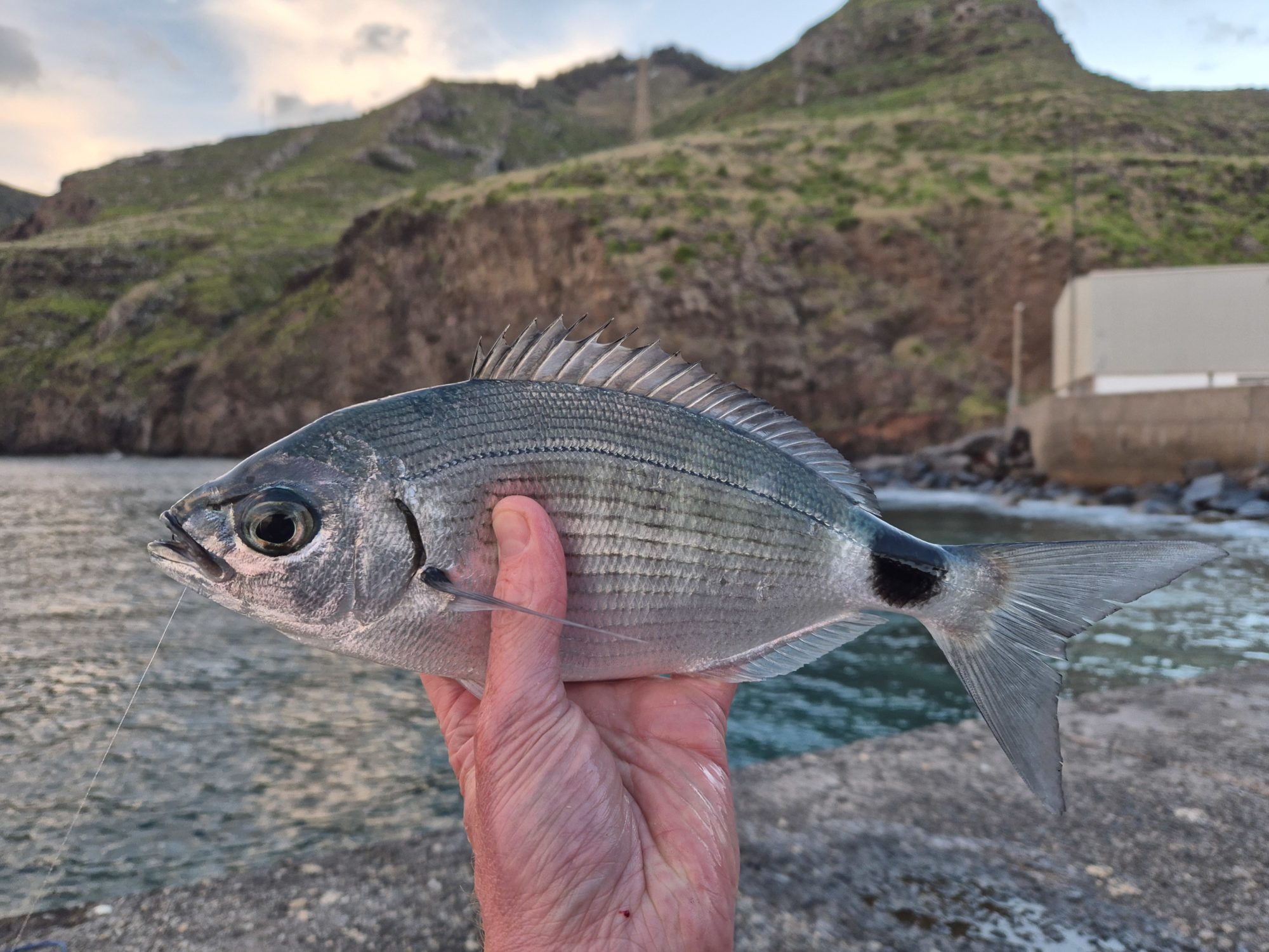Uferangeln auf Madeira