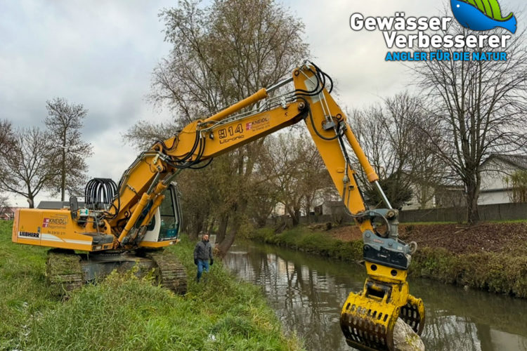 Ein Bagger setzt Störsteine in der Ilm. Die Grundlage für neue Strukturen im Gewässer