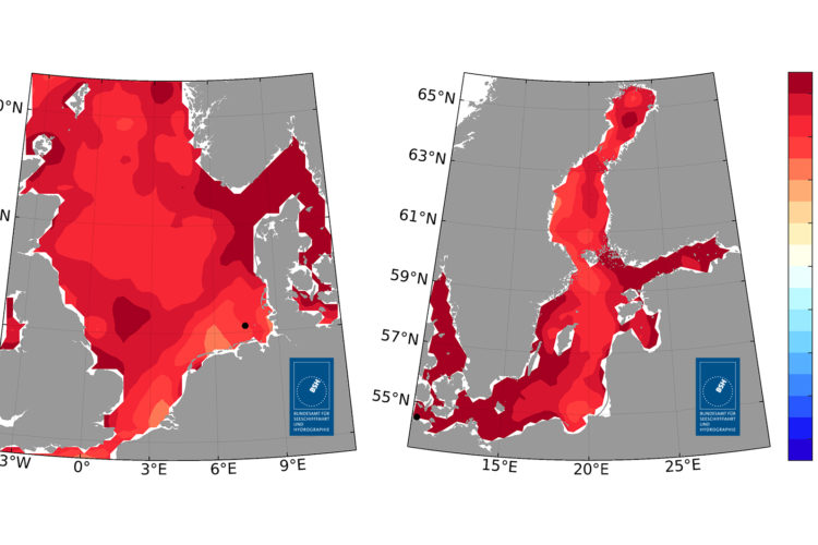 So wichen die Jahresmitteltemperaturen 2025 in der Nordsee (links) und in der Ostsee (rechts) vom langjährigen Mittel von 1997 bis 2021 ab.
