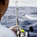 Big Game in Marokko – die Royal Fishing Kinderhilfe Botschafterreise