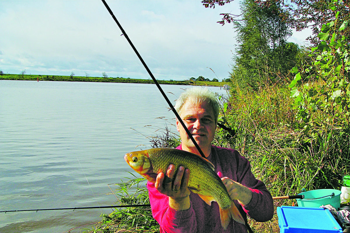 Aland 51 cm Vorzeiger