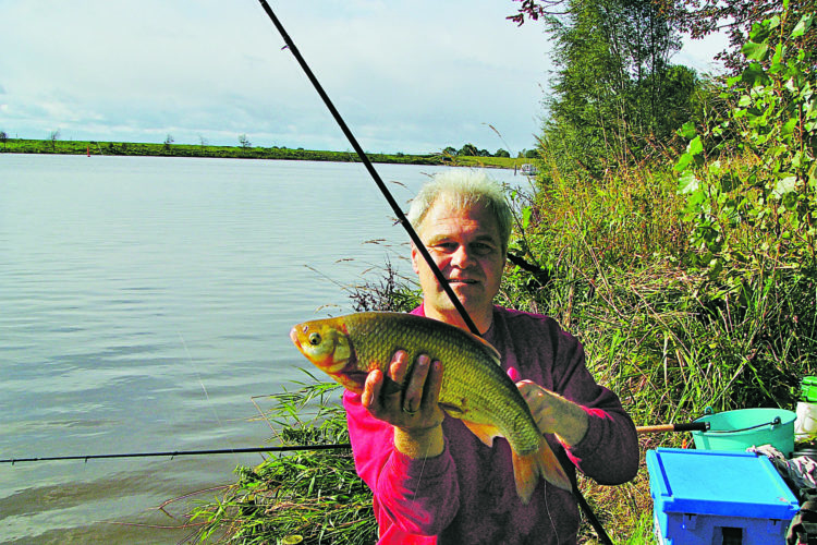 Aland 51 cm Vorzeiger