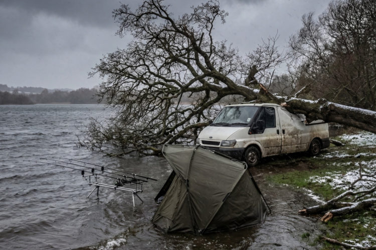 Angeln bei Sturm: Baum kracht auf Van