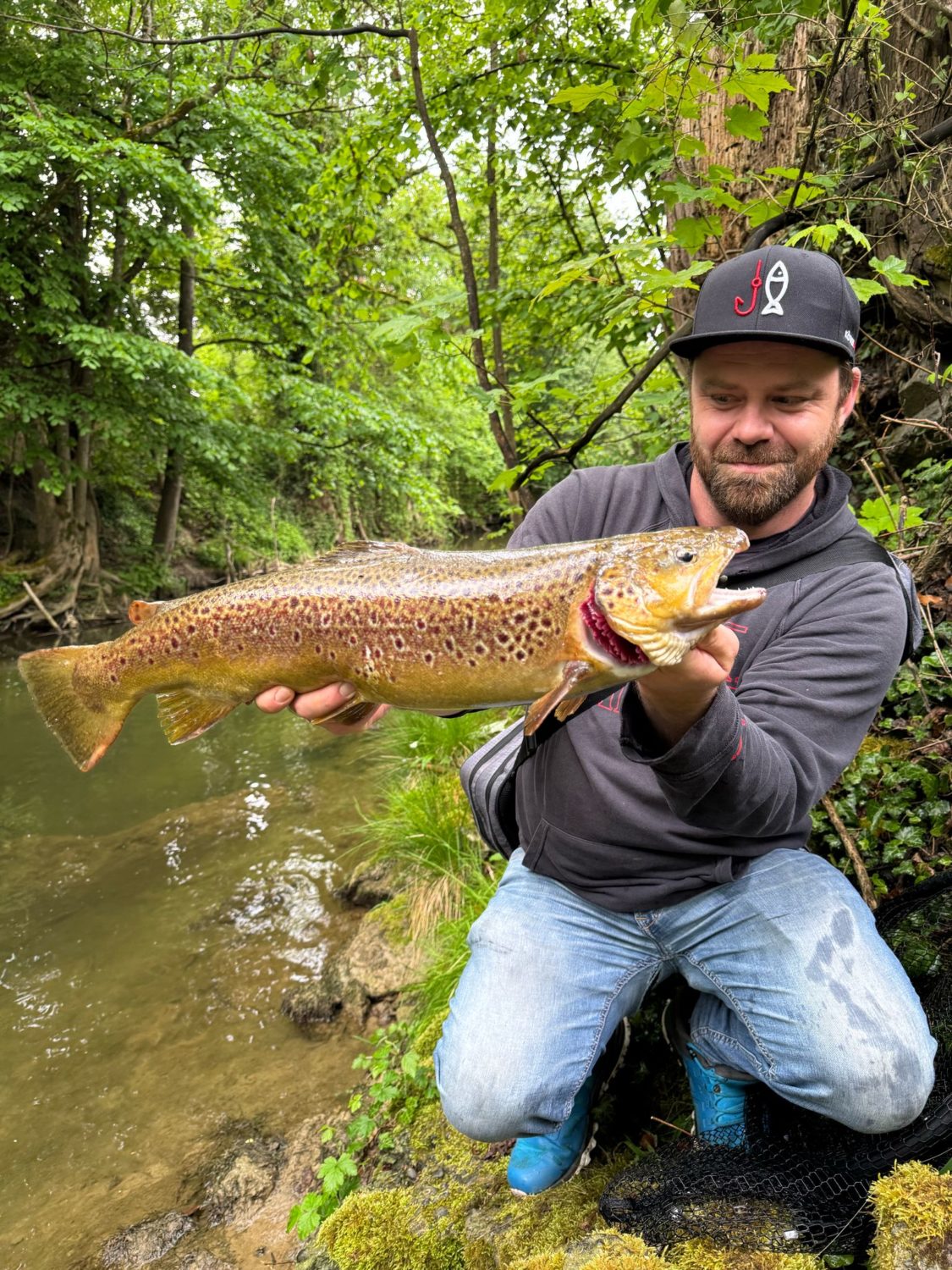 Bachforelle Schiller