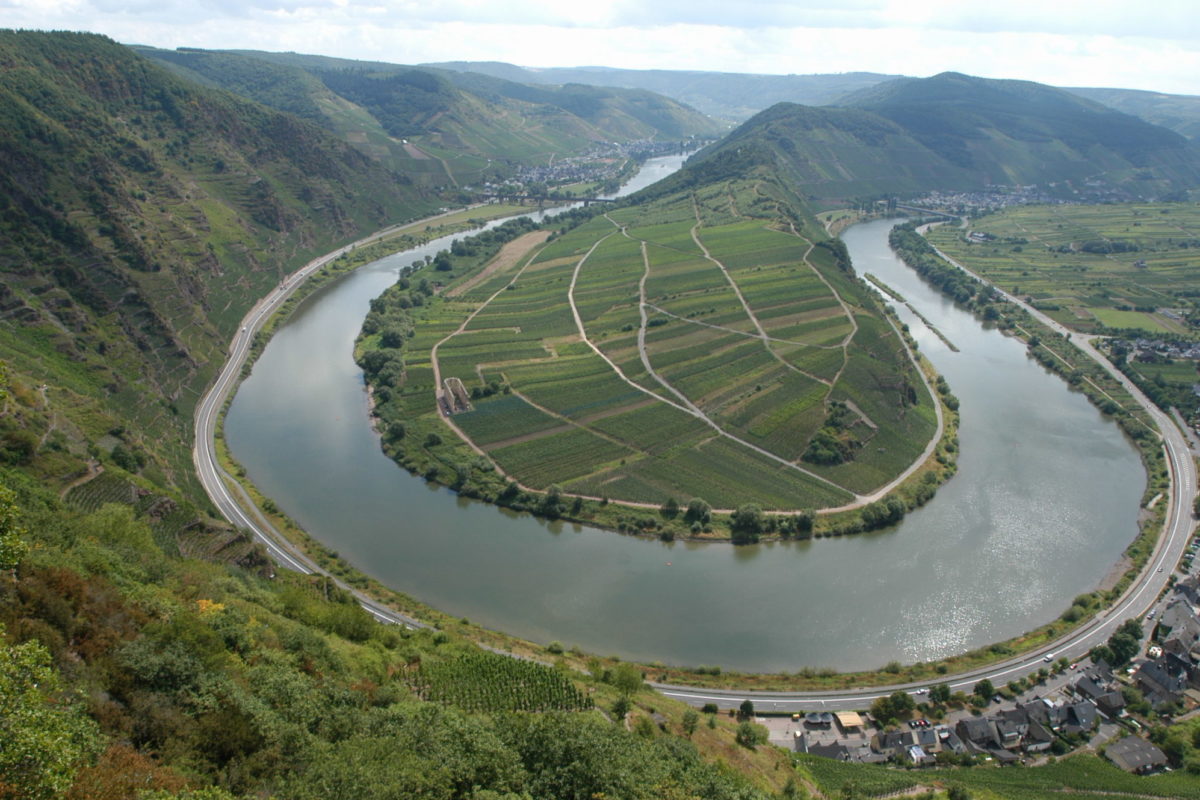 Forschung Mosel