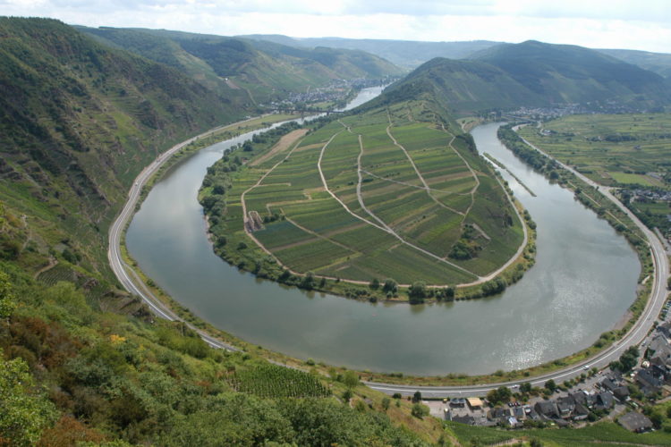 Forschung Mosel