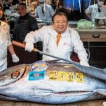 Der teuerste Thun aller Zeiten: 2,8 Millionen Dollar für einen Thunfisch