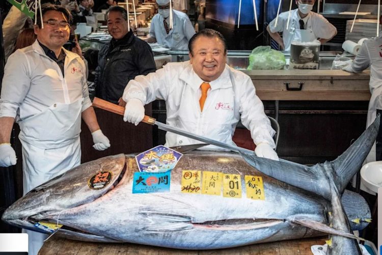 Der teuerste Thun aller Zeiten: 2,8 Millionen Dollar für einen Thunfisch