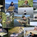 Fisch des Jahres 2025