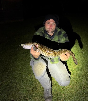 60er Quappe aus dem Lech