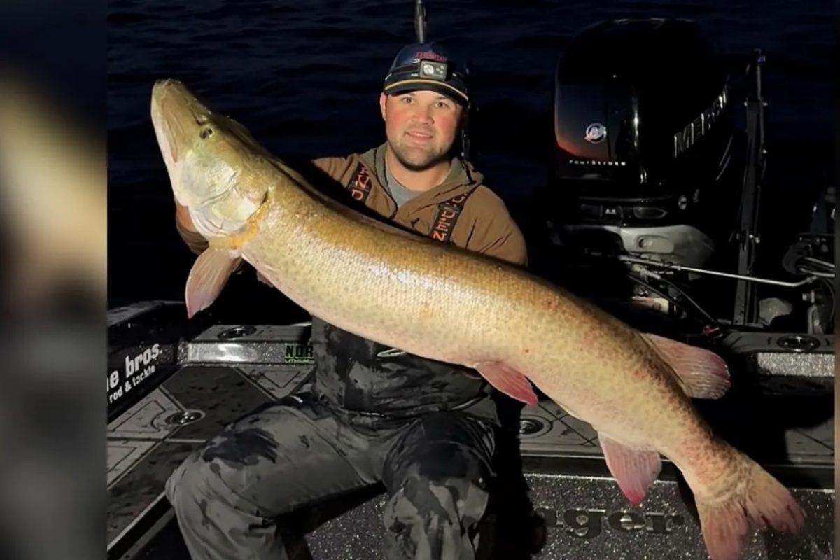 Rekord Muskie, Wisconsin