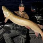 Rekord Muskie, Wisconsin