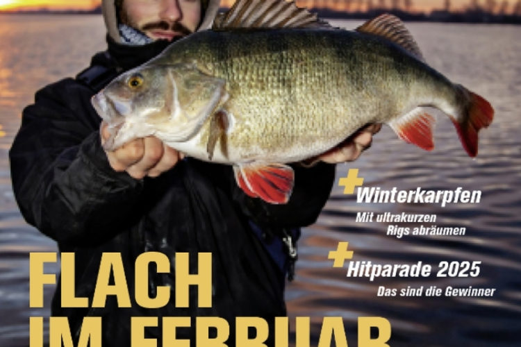 Blinker 02/2026: Flach im Februar