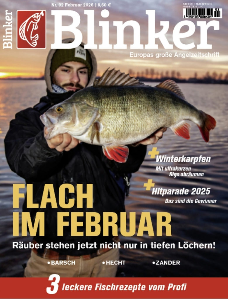 Blinker 02/2026: Flach im Februar