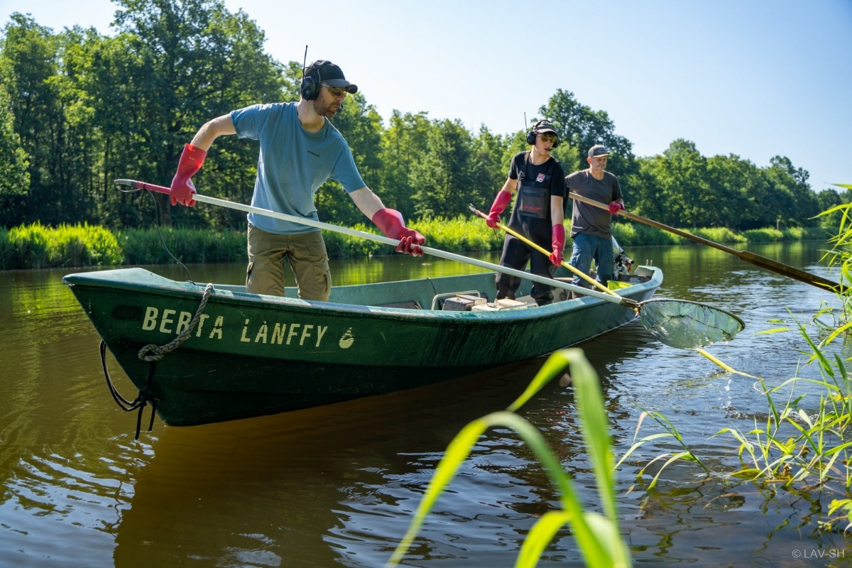 Bestandsermittlung durch Elektrofischerei