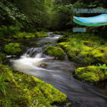 Die Murg Flusslandschaft des Jahres 2026/27