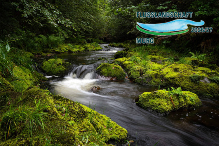 Die Murg Flusslandschaft des Jahres 2026/27