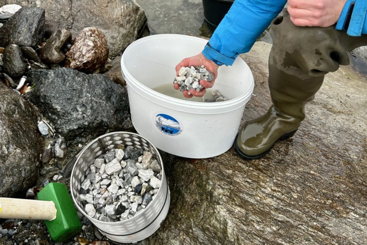 Bei der Besatzmaßnahme zum Einsatz kamen sogenannte Artificial Nests.