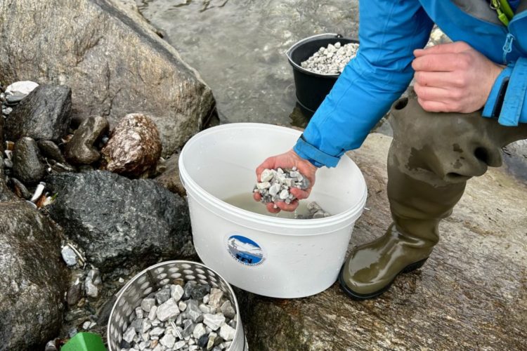 Bei der Besatzmaßnahme zum Einsatz kamen sogenannte Artificial Nests.