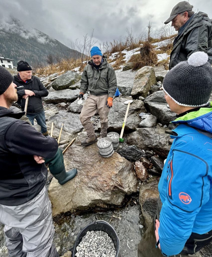 Artificial Nests in Form von Cocooning-Systemen und Brutboxen wurden von vielen ehrenamtlichen Helfern eingebracht.