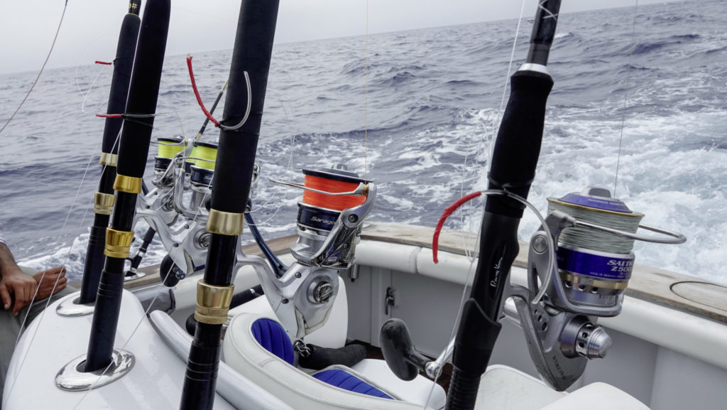 eim „Bait & Switch“ muss es sehr schnell gehen, wenn ein Marlin hinter den Teasern auftaucht. Daher stehen die Ruten immer komplett montiert bereit.