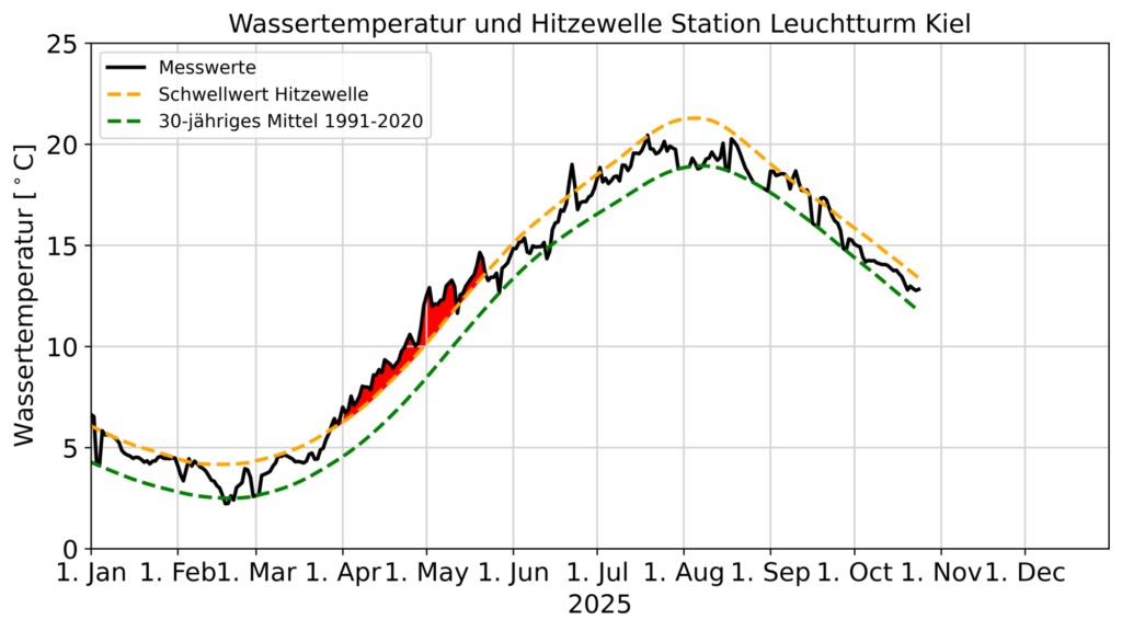 Wassertemperaturen und marine Hitzewellen an der BSH-Station Leuchtturm Kiel in 2025