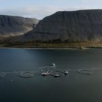 Island Lachs neues Gesetz