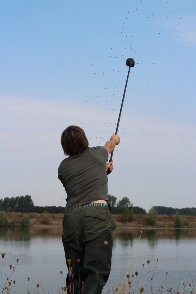 Steinbrück Anfüttern Boilies Pellets Futterschaufel (1).jpg