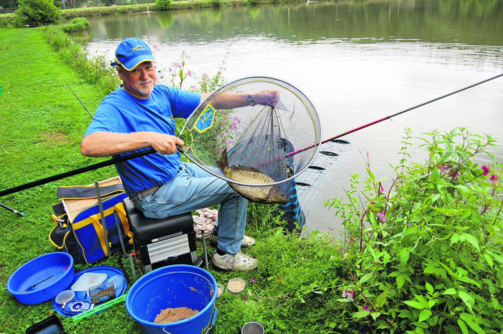 Karpfen im Kescher Vorzeiger