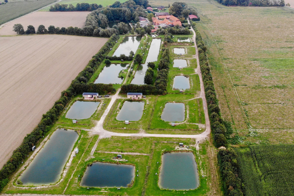 Drohnenblick über die 16 gepflegten Teiche beim Angel- und Freizeithof Weseloh.
