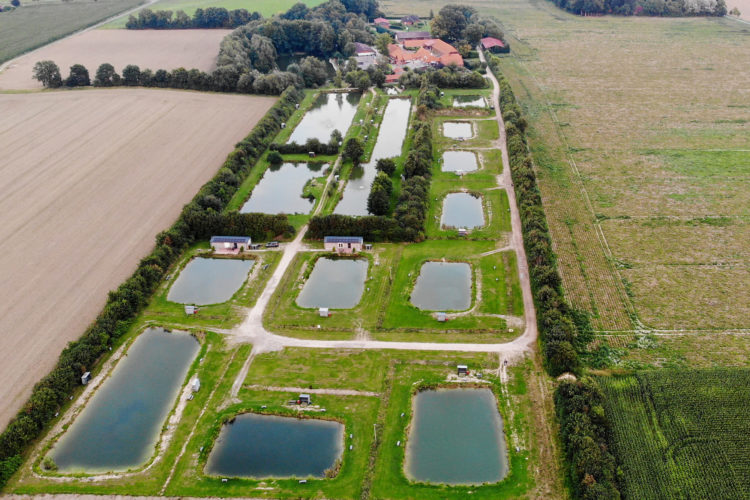 Drohnenblick über die 16 gepflegten Teiche beim Angel- und Freizeithof Weseloh.